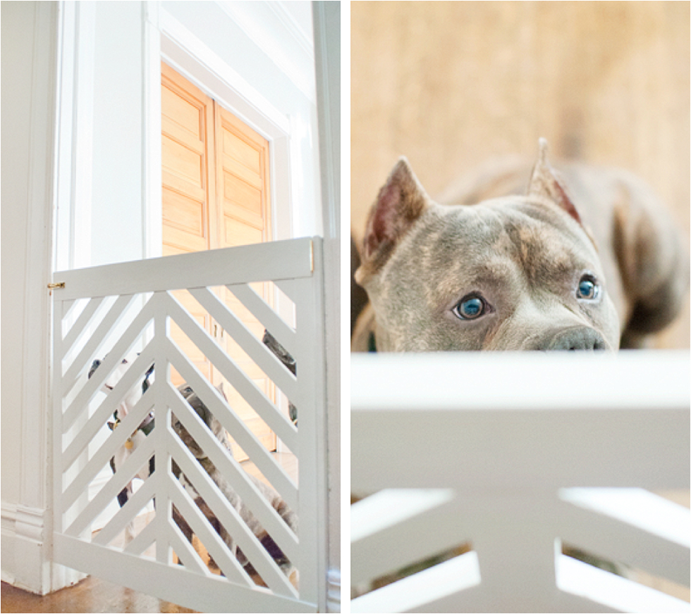 White DIY dog gate with dog peering out from behind it