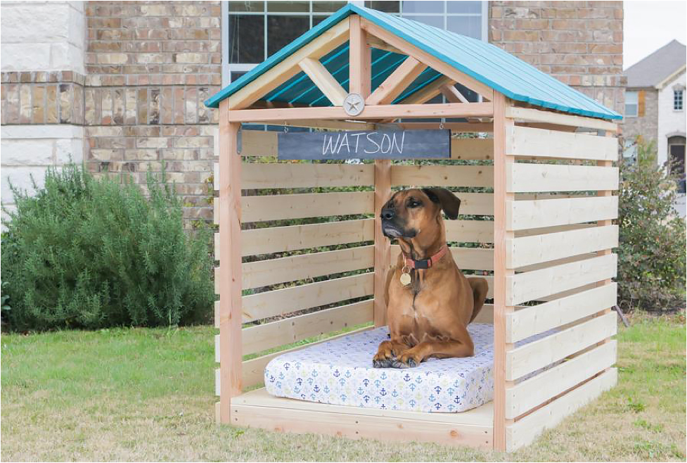 Cute dog sitting in a wooden doghouse gazebo