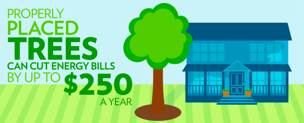 Plant trees save energy infographic