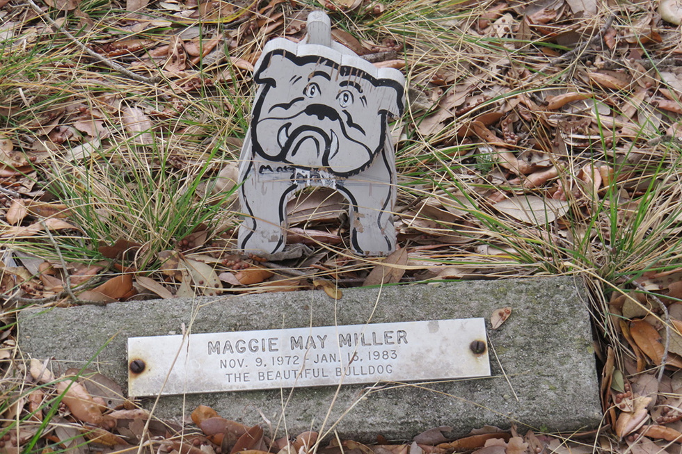 Headstone for dog buried in family's yard