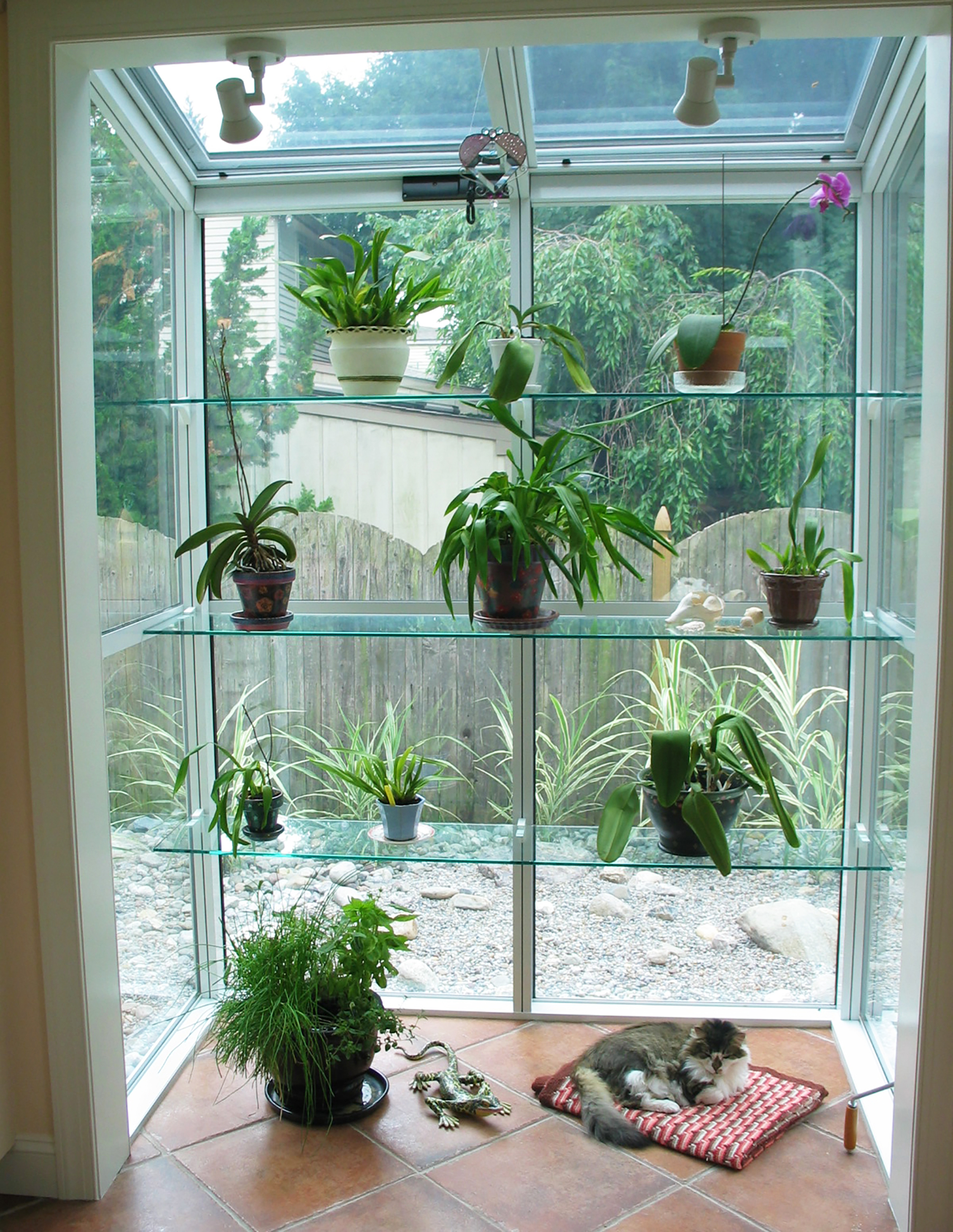 Glass window shelving with plants
