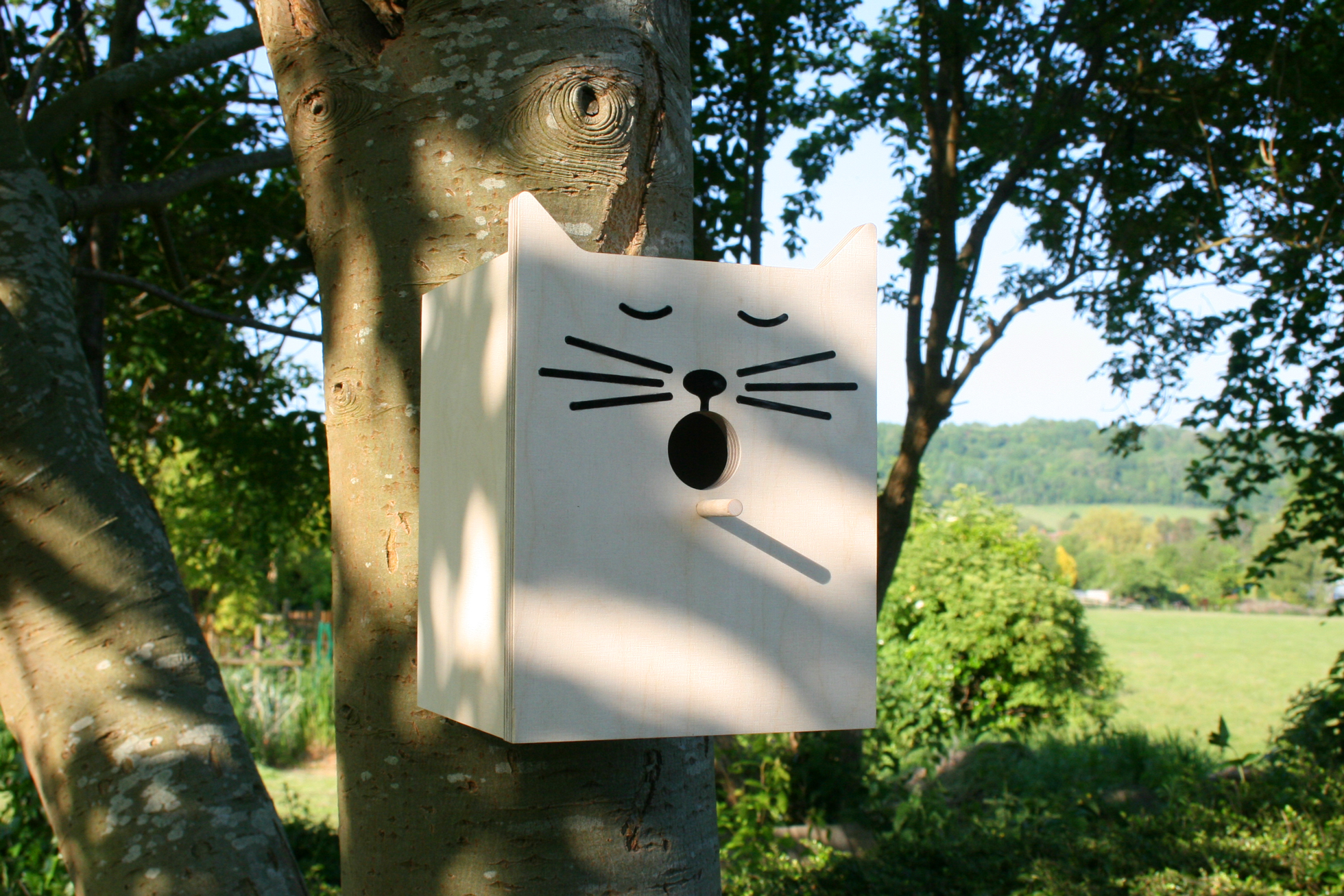 Cat-shaped birdhouse outside a home