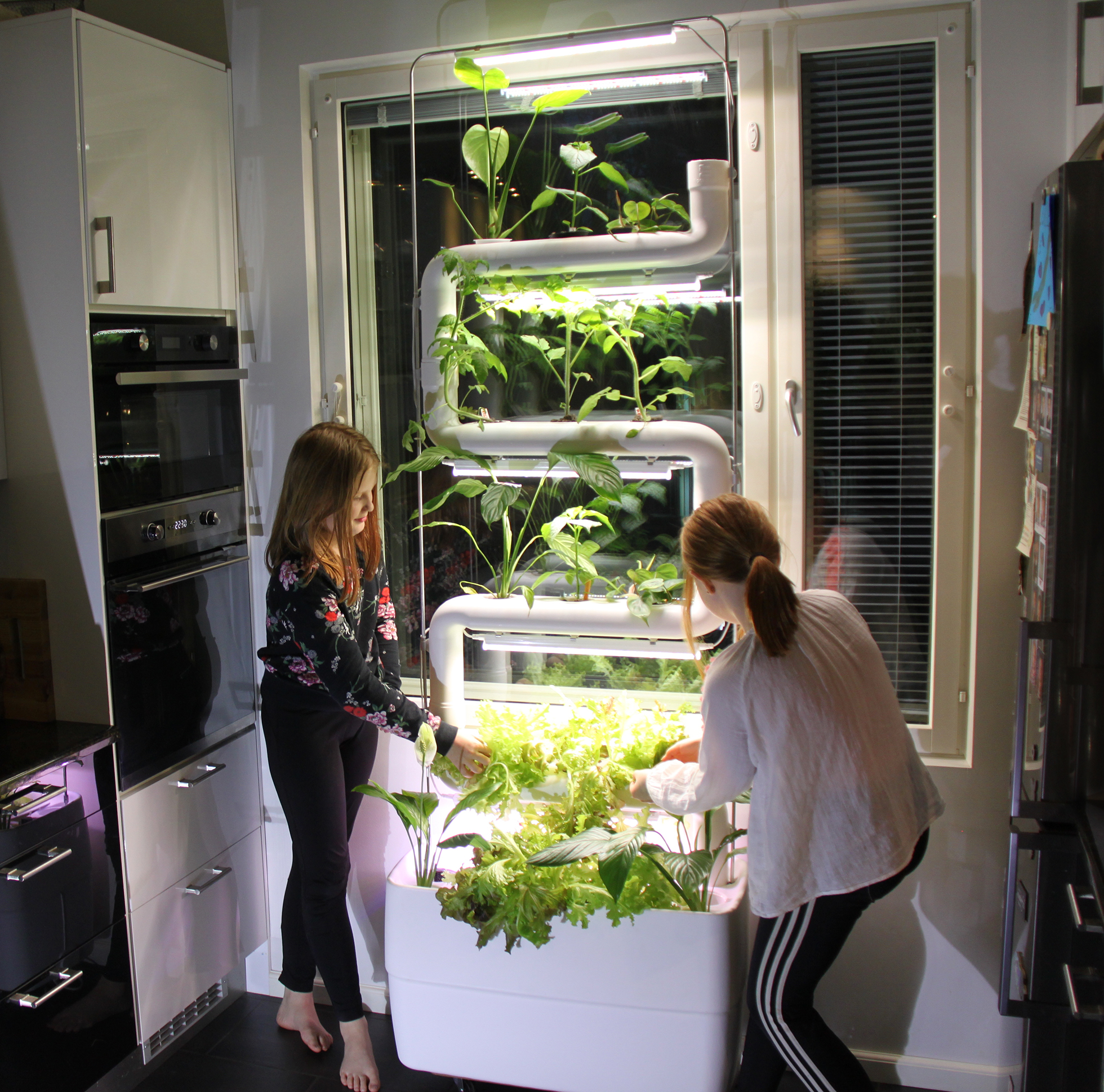 Two children tending an indoor smart garden