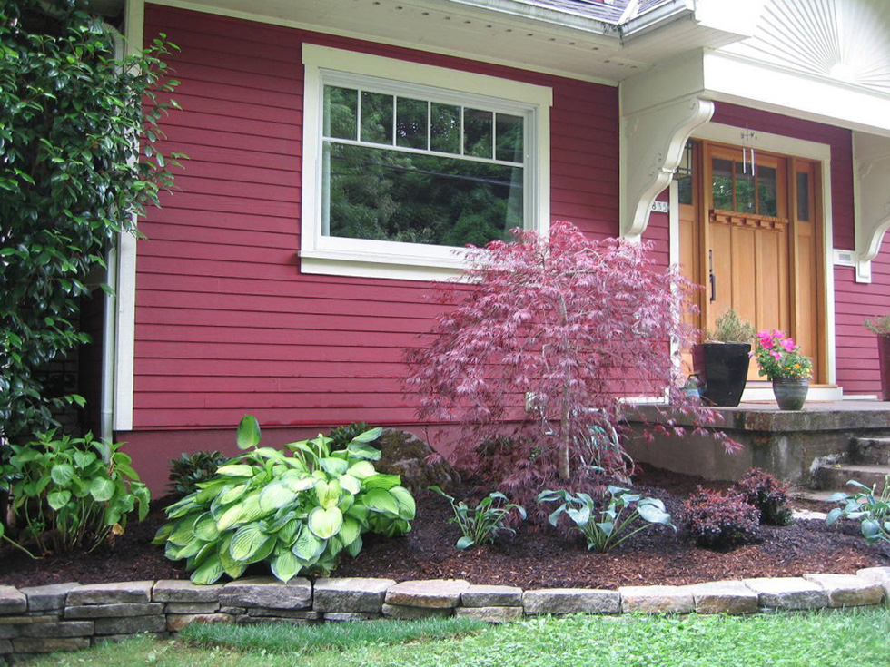 A red house with a mulched bed and Japanese maple