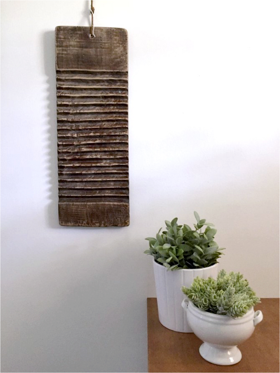White wall with wood handing and plants in pots