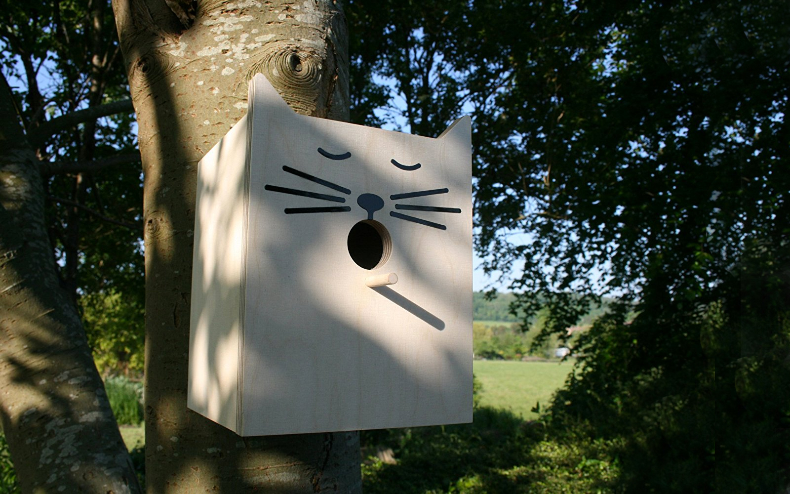 Cat-shaped birdhouse outside a home