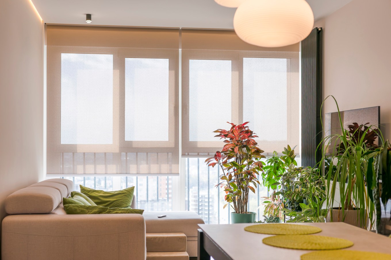 Roller blinds cover large windows that can let in ample sunlight.